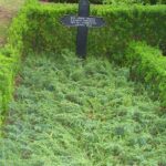 Grave og mindesten på Ulkebøl kirkegård, 3 danske soldater døde på lazarettet